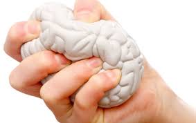 beynimizdeki-ilkel-hayvan-amigdala-7