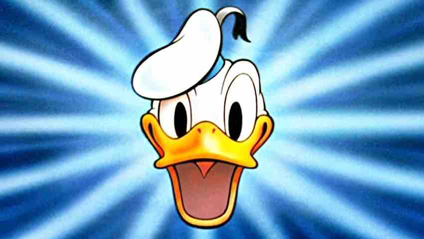 Donald Duck Günü