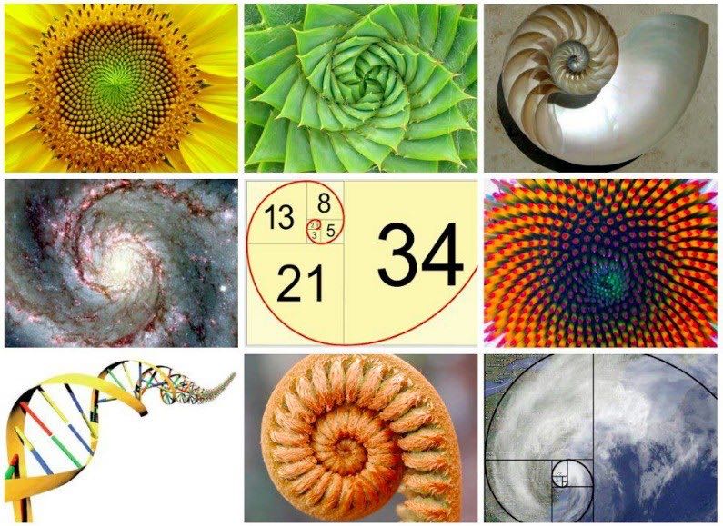 fibonacci-gunu-3