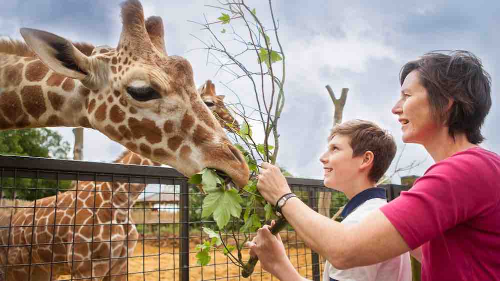 Hayvanat Bahçesi Sevenler Günü