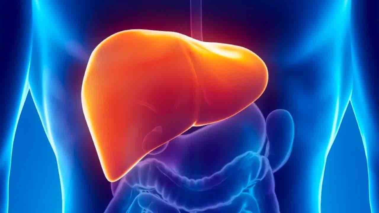Dünya Hepatit (Sarılık) Günü