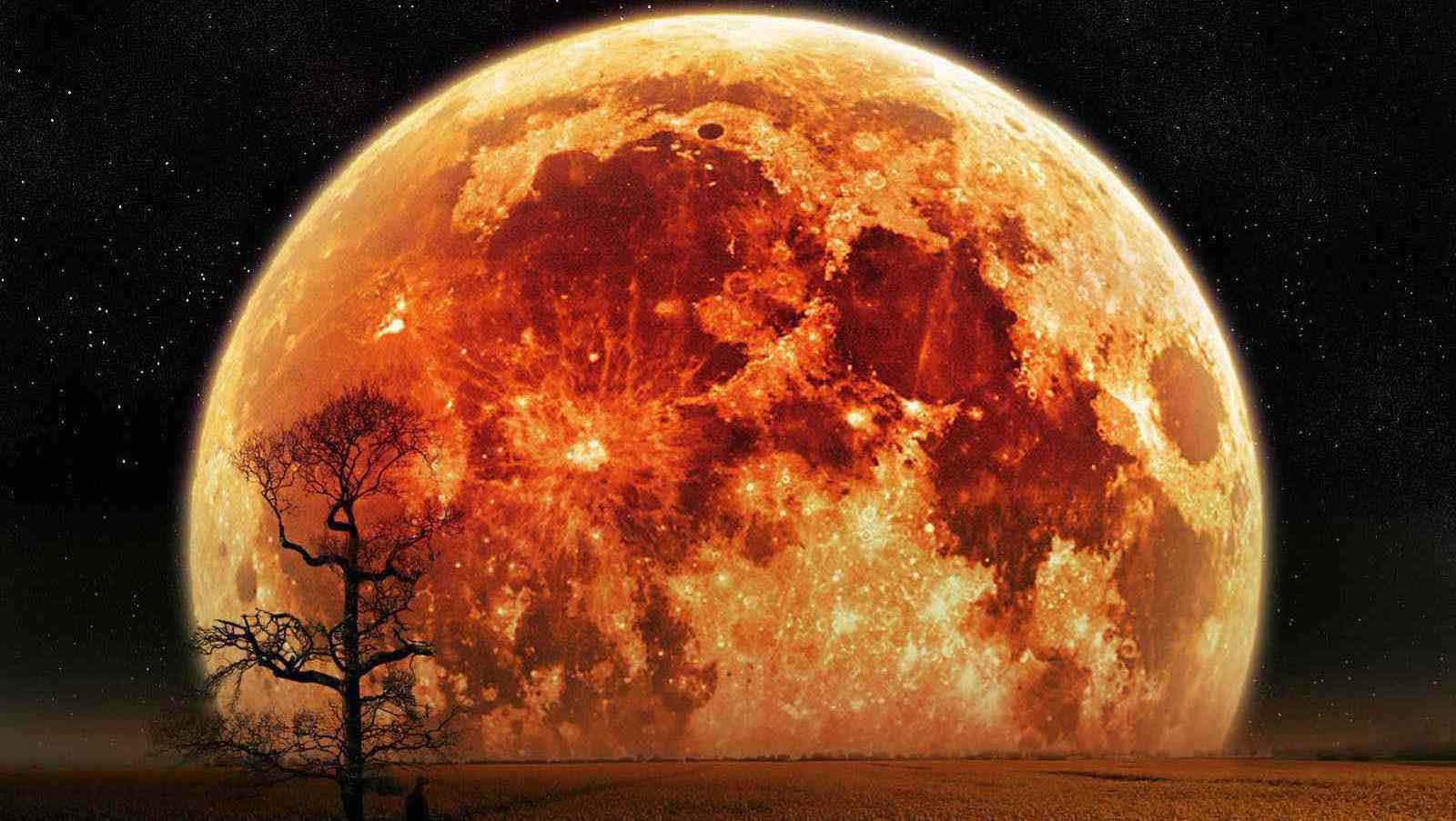 Kızıl Gezegen (Mars) Günü