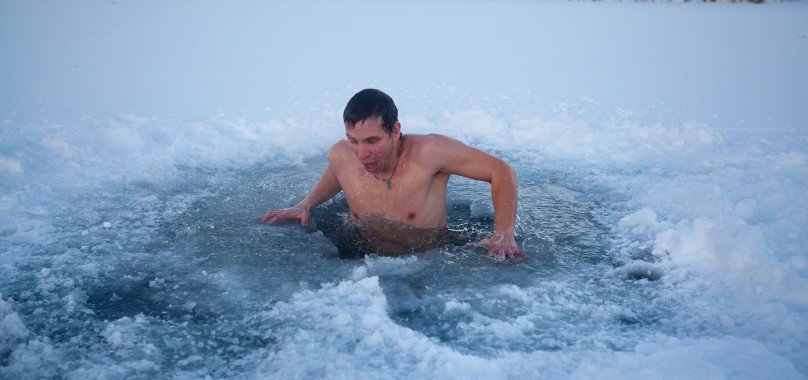 kutup-ayisi-yuzme-gunu-1