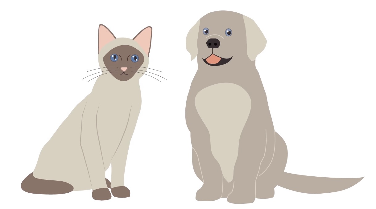 machine-vs-deep-learning-1