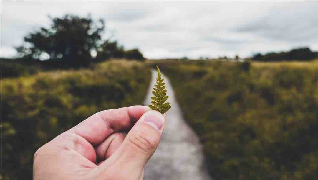 Küçük Gönüllülük İşleri Günü
