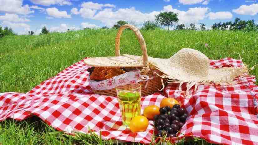 Piknik Günü